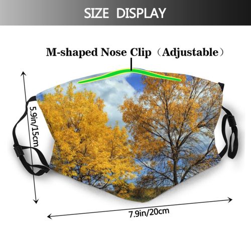 yanfind Sky Natural Autumn Woody Leaves Landscape Sky Plant Fall Aspen Sunny Leaf Dust Washable Reusable Filter and Reusable Mouth Warm Windproof Cotton Face
