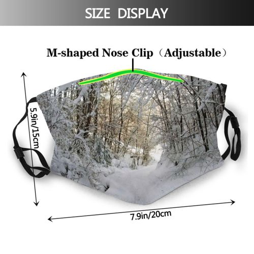 yanfind Winter Forest Sky Tree Ice Ice Branch Frost Winter Forest Freezing Plant Dust Washable Reusable Filter and Reusable Mouth Warm Windproof Cotton Face