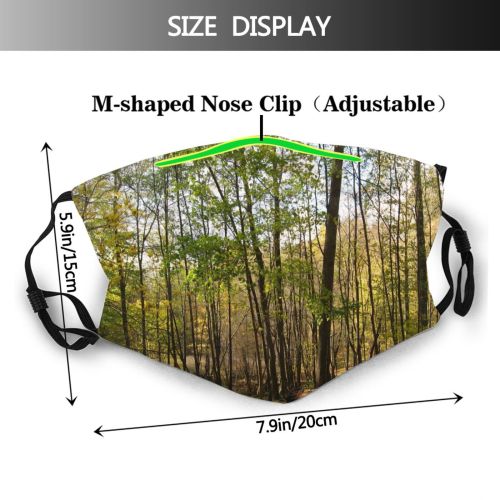 yanfind Sumac Natural Sun Autumn Growth Landscape Fall Light Wood Forest Hardwood Northern   Dust Washable Reusable Filter and Reusable Mouth Warm Windproof Cotton Face