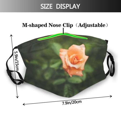 yanfind  Spring Flower Garden Flora Blooming Romantic Plant Bunch Rose Valentine  Dust Washable Reusable Filter and Reusable Mouth Warm Windproof Cotton Face