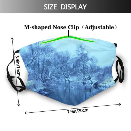 yanfind Winter Lake Landscape Reflection Tree Natural Winter Freezing Atmospheric Snow Dust Washable Reusable Filter and Reusable Mouth Warm Windproof Cotton Face