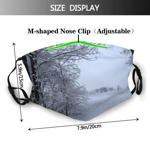 yanfind Winter Landscape Land Trees Sky Tree Winter Natural Atmospheric Freezing Snow Snow Dust Washable Reusable Filter and Reusable Mouth Warm Windproof Cotton Face