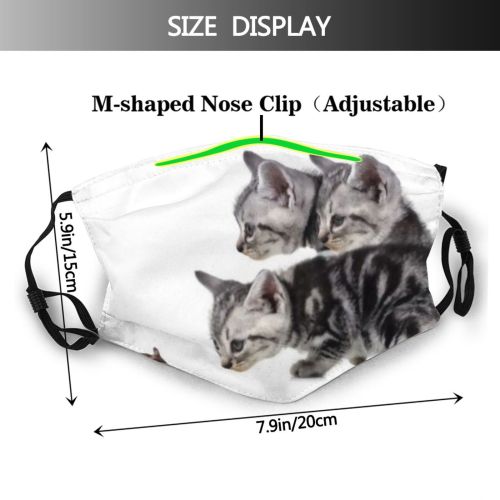 yanfind Isolated Fur Young Cat Kitty Cute Pedigreed Baby Beautiful Pretty Pet Cats Dust Washable Reusable Filter and Reusable Mouth Warm Windproof Cotton Face