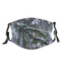 yanfind Leaf Coniferous Frozen Austria Needle Tree Evergreen Snow Branch Fir Spruce Pine Dust Washable Reusable Filter and Reusable Mouth Warm Windproof Cotton Face