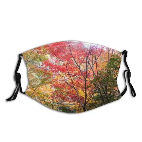 yanfind Woody Leaves Maple Plant Sky Branch Momiji Leaf Leaf Tree Tree Autumn Dust Washable Reusable Filter and Reusable Mouth Warm Windproof Cotton Face