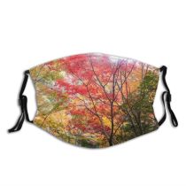 yanfind Woody Leaves Maple Plant Sky Branch Momiji Leaf Leaf Tree Tree Autumn Dust Washable Reusable Filter and Reusable Mouth Warm Windproof Cotton Face