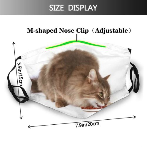 yanfind Isolated Lovely Whisker Fur Young Cat Kitty Cute Yummy Hungry Grey Friendly Dust Washable Reusable Filter and Reusable Mouth Warm Windproof Cotton Face