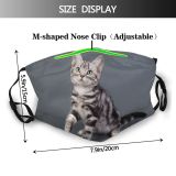 yanfind Isolated Fur Young Cat Kitty Cute Pampered Kittens Shorthair Adorable Pedigreed Photographer Dust Washable Reusable Filter and Reusable Mouth Warm Windproof Cotton Face