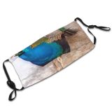 yanfind Winter Vertebrate Tail Bird Bird Peafowl Phasianidae Galliformes Peacock Beak Feather Dust Washable Reusable Filter and Reusable Mouth Warm Windproof Cotton Face