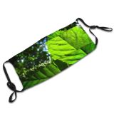 yanfind Plant Coniferous Tropical Broadleaf Tree Temperate Grove Forest Mountains Woody Northern Forests Dust Washable Reusable Filter and Reusable Mouth Warm Windproof Cotton Face