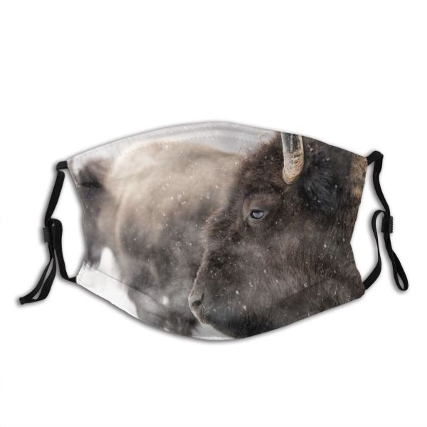 yanfind Frozen Wild Snow Foreground Focus Wildlife Canada Horned Bison Temperature Outdoors Winter Dust Washable Reusable Filter and Reusable Mouth Warm Windproof Cotton Face