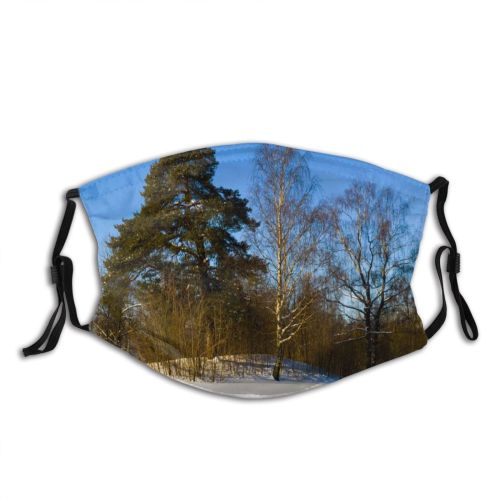 yanfind Landscape Sky Trees Tree Winter Natural Freezing Snow Daytime Wilderness Snow    Dust Washable Reusable Filter and Reusable Mouth Warm Windproof Cotton Face