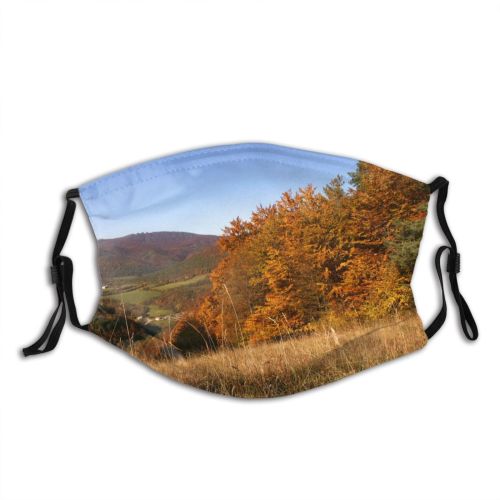 yanfind Landscape Leaf Sky Tree Hill Grass Natural Autumn Autumn Wilderness Dust Washable Reusable Filter and Reusable Mouth Warm Windproof Cotton Face