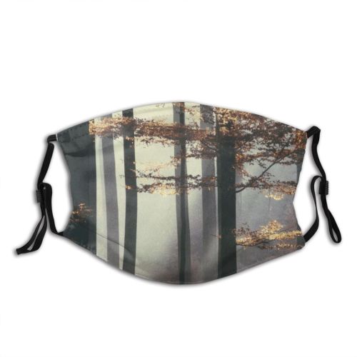 yanfind Morning Natural Atmospheric Autumn Woody Plant Branch Wood Forest Leaf Tree Forest Dust Washable Reusable Filter and Reusable Mouth Warm Windproof Cotton Face