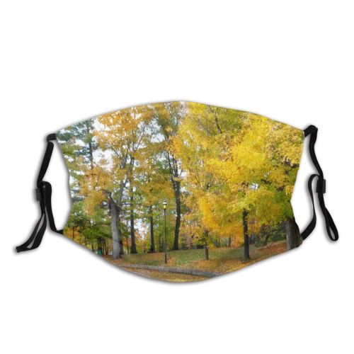 yanfind Natural Autumn Woody Landscape Plant Lanscape Leaf Tree Autumn Park Season Deciduous Dust Washable Reusable Filter and Reusable Mouth Warm Windproof Cotton Face