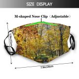 yanfind Deciduous Colours Landscape Leaf Trees Reflection Tree Plant Autumn Natural Woody Bank Dust Washable Reusable Filter and Reusable Mouth Warm Windproof Cotton Face
