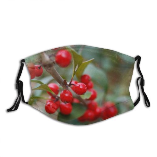 yanfind Winter Landscape Tree Frost Winter Natural Atmospheric Freezing Snow    Dust Washable Reusable Filter and Reusable Mouth Warm Windproof Cotton Face