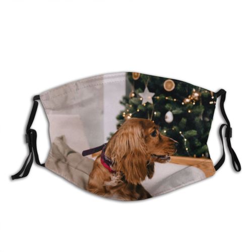 yanfind Idyllic Sit Dog Creature Spruce Holidays Happy Merry Sofa Cute Cozy Comfort Dust Washable Reusable Filter and Reusable Mouth Warm Windproof Cotton Face