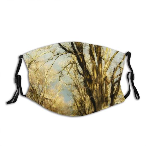 yanfind Winter Landforms Lake Mountain Highland Range Sky Mountainous Lake Alps Mountains Glacial Dust Washable Reusable Filter and Reusable Mouth Warm Windproof Cotton Face