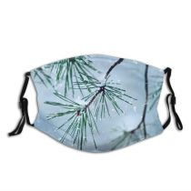 yanfind Ice Europe Bilbao Frost Fragility Coniferous Frozen Needle Tree Foreground Snow Branch Dust Washable Reusable Filter and Reusable Mouth Warm Windproof Cotton Face