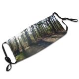 yanfind Outdoors Woods Light Tree Sunlight Forest Shadows Old Growth Landscape Sunset Natural Dust Washable Reusable Filter and Reusable Mouth Warm Windproof Cotton Face