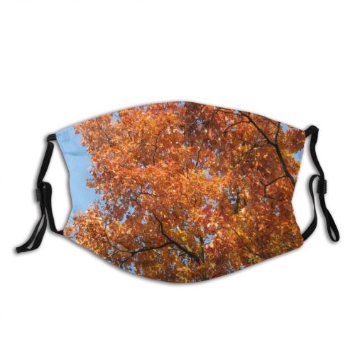 yanfind Temperate Sky Autumn Woody Plant Fall Broadleaf Branch Flowering Leaf Forest Leaf Dust Washable Reusable Filter and Reusable Mouth Warm Windproof Cotton Face
