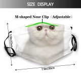 yanfind Isolated Fur Young Cat Cute Shorthair Old Tiny Space Vertebrate Shot Months Dust Washable Reusable Filter and Reusable Mouth Warm Windproof Cotton Face