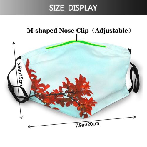 yanfind Maple Sky Stem Copyspace Autumn Leaves Branch Letter Plant Branch Flower Flowering Dust Washable Reusable Filter and Reusable Mouth Warm Windproof Cotton Face