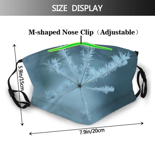 yanfind Winter Frozen Frost Ground Winter Leaves Sky Plant Ice Leaf Organism Frost Dust Washable Reusable Filter and Reusable Mouth Warm Windproof Cotton Face
