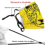 yanfind Isolated Hunter Stripe Endangered Cat Fierce Carnivore Screen Wildlife Leopard Female Aggression Dust Washable Reusable Filter and Reusable Mouth Warm Windproof Cotton Face