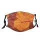 yanfind Maple Perspective Autumn Landscape Maple Plant Leaf Forest Leaf Sunshine Tree Tree Dust Washable Reusable Filter and Reusable Mouth Warm Windproof Cotton Face