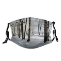 yanfind Winter Winter Natural Atmospheric Landscape Sky Branch Snow Tree Tree Trees Freezing Dust Washable Reusable Filter and Reusable Mouth Warm Windproof Cotton Face