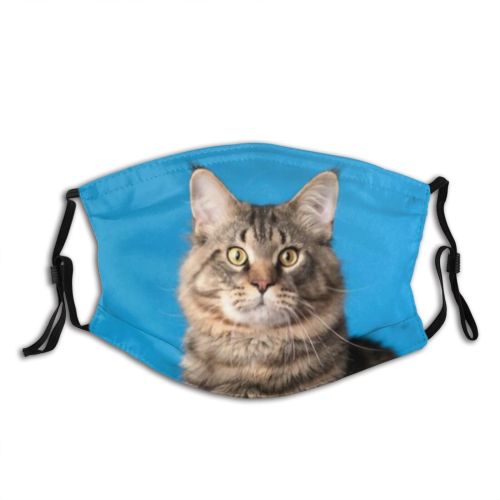 yanfind Fur Article Striped Cat Kitty Cute Coon Big Grey Staring Calendar Calm Dust Washable Reusable Filter and Reusable Mouth Warm Windproof Cotton Face