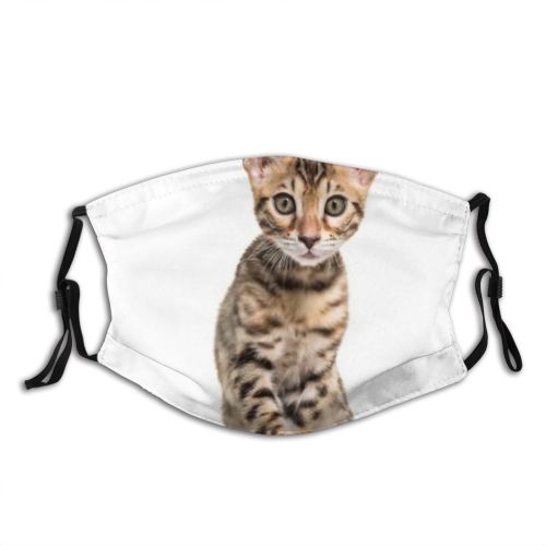 yanfind Isolated Young Cat Carnivore Catus Staring Facing Nobody Bengal Vertebrate Shot Pet Dust Washable Reusable Filter and Reusable Mouth Warm Windproof Cotton Face