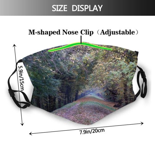 yanfind Natural Autumn Landscape Fall Road Walk Forest Leaf Tree Forest Road Autumn Dust Washable Reusable Filter and Reusable Mouth Warm Windproof Cotton Face