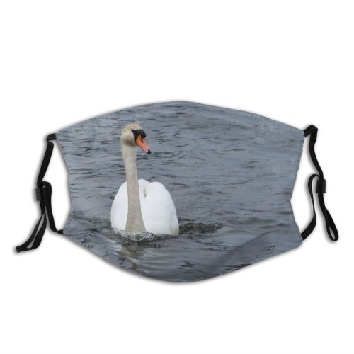 yanfind Ducks Flight Mazury Fly Beak Geese Vertebrate Neck Duck Swans Bird Swan Dust Washable Reusable Filter and Reusable Mouth Warm Windproof Cotton Face