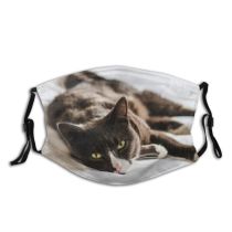 yanfind Comfortable Peaceful Fur Bed Cat Cute Mascot Resting Cozy Comfy Serenity Grey Dust Washable Reusable Filter and Reusable Mouth Warm Windproof Cotton Face