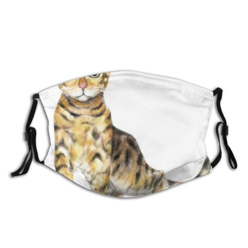 yanfind Isolated Pencils Striped Cat Kitty Colorful Fauna Leopard Smooth Stand Bengal Design Dust Washable Reusable Filter and Reusable Mouth Warm Windproof Cotton Face