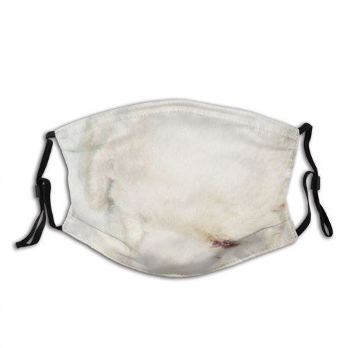 yanfind Dog Maltese Maltepoo Canidae Bichon Frisé Puppy Puppy Nose Dog Dust Washable Reusable Filter and Reusable Mouth Warm Windproof Cotton Face