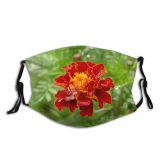yanfind Plant Annual Flower Croatia Flower Tagetes Patula Plant Drop Tagetes Flowers Lantana Dust Washable Reusable Filter and Reusable Mouth Warm Windproof Cotton Face
