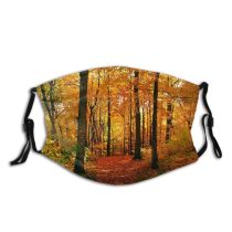 yanfind Temperate Tranquil Sky Natural Idyllic Beauty Sun Autumn Branches Happiness Leaves Landscape   Dust Washable Reusable Filter and Reusable Mouth Warm Windproof Cotton Face