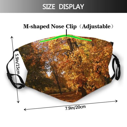 yanfind Deciduous Landscape Leaf Tree Plant Natural Autumn Autumn Woodland Woody    Dust Washable Reusable Filter and Reusable Mouth Warm Windproof Cotton Face