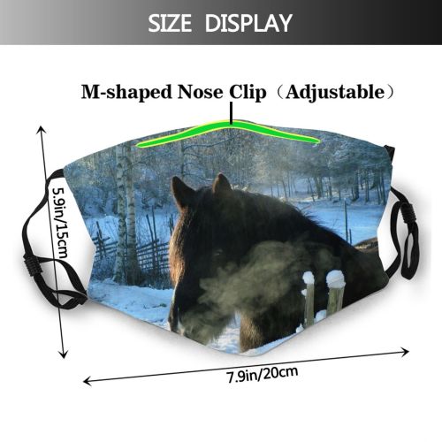 yanfind Winter Vertebrate Landscape Wildlife Horse Winter Freezing Sun Snow Snout Horse Mane Dust Washable Reusable Filter and Reusable Mouth Warm Windproof Cotton Face