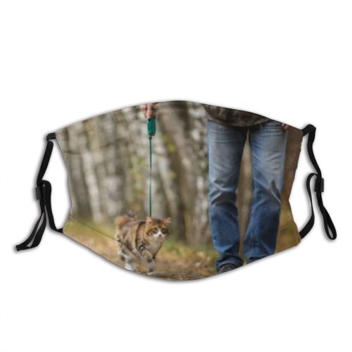 yanfind Isolated Garden Fur Kuril Young Cat Kitty Cute Harness Grass Beautiful Sweet Dust Washable Reusable Filter and Reusable Mouth Warm Windproof Cotton Face