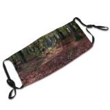 yanfind Temperate HDR Natural Sun Autumn Floor October Landscape Fall Broadleaf Forrest High Dust Washable Reusable Filter and Reusable Mouth Warm Windproof Cotton Face