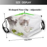 yanfind Attractive Isolation Cat Cute Tender Kittens Nose Tiny Self Beautiful Fluffy. Gentle Dust Washable Reusable Filter and Reusable Mouth Warm Windproof Cotton Face