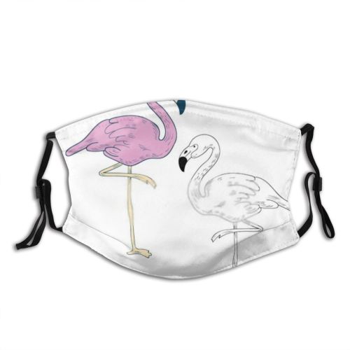 yanfind Abstract Isolated Bird Leg Roseus Cute Feather Flamingo Phoenicopterus Colorful Natural Wildlife Dust Washable Reusable Filter and Reusable Mouth Warm Windproof Cotton Face