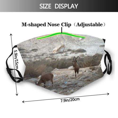 yanfind Goat Sheep Goats Ibex Mountain Cow Antelope Mountaingoat Fawn Barbary Family Bovine Dust Washable Reusable Filter and Reusable Mouth Warm Windproof Cotton Face