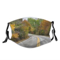 yanfind Thoroughfare Natural Highway Asphalt Leaves Landscape Fall Street Road Leaf Industrial Tree Dust Washable Reusable Filter and Reusable Mouth Warm Windproof Cotton Face