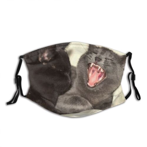 yanfind Emotions Pet Mouth Tongue Fluffy Kitten Teeth Cats Young Cat Kitty Screams Dust Washable Reusable Filter and Reusable Mouth Warm Windproof Cotton Face